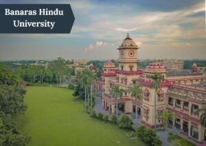 BHU Faculty
